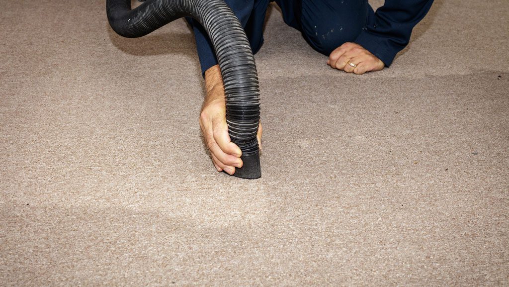Removing water from a carpet