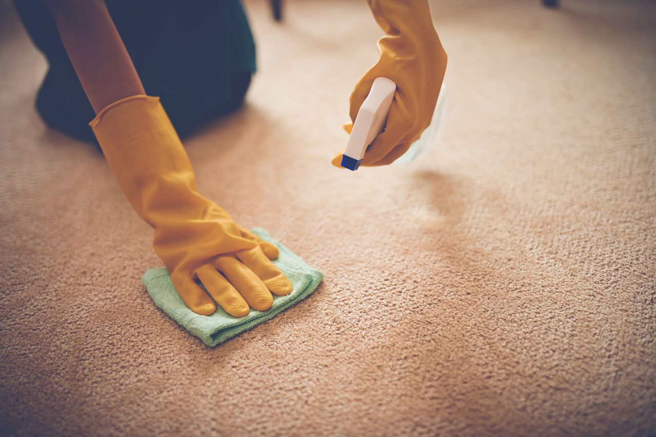 Cleaning upholstery wearing gloves